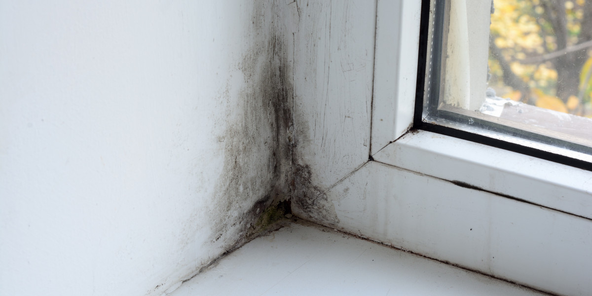 Wie und wodurch können Schimmelschäden in Wohnungen und Häusern entstehen?